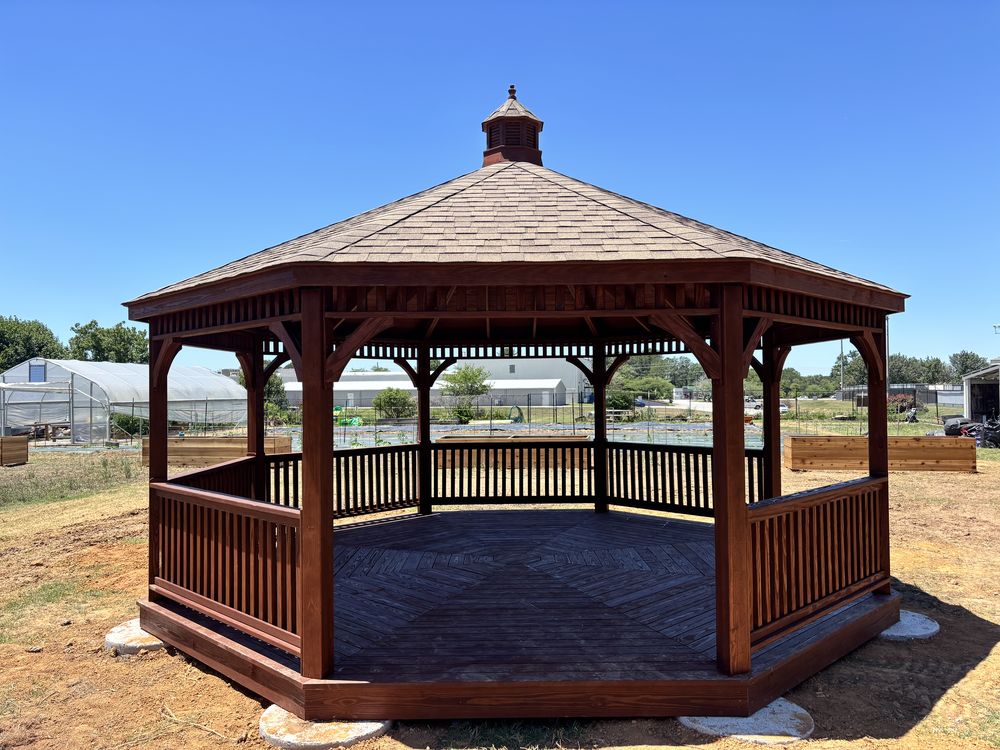 Wood pergola with a modern laser-cut privacy screen and climbing greenery on a concrete patio